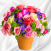 A warm terra-cotta pot and lots of fun colors give this arrangement