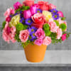 A warm terra-cotta pot and lots of fun colors give this arrangement