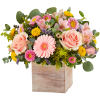 Spring is a time to refresh and reach out. Our spring arrangement