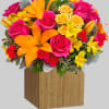 Spread sunshine with bold roses, cheerful lilies, and fluttering alstroemerias with this