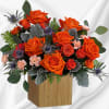 Sure to brighten any day, this Retro Brights Arrangement of radiant orange
