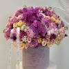 Different kinds of purple