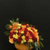 pumpkin arrangement