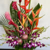 Head to the tropics with this spectacular and exotic display of orchids