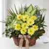 Send your warmest regards with an elegant dish garden that combines the