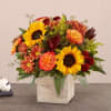 The color and charm of an autumn country harvest inspired our farmhouse-style