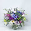 Mix of purples 