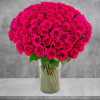 This Luxury arrangement of fuchsia roses is a lovely gift for Valentine&#039;s