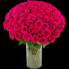 This Luxury arrangement of fuchsia roses is a lovely gift for Valentine&#039;s