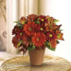 Greet a loved one with the golden glow of autumn. Like a