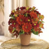 Greet a loved one with the golden glow of autumn. Like a