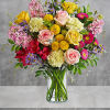 Spread goodness and light far and wide with this joyful gift of