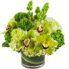 Keep things fresh and lucky with this all-green arrangement. Send somebody a