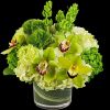 Keep things fresh and lucky with this all-green arrangement. Send somebody a