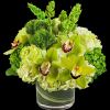 Keep things fresh and lucky with this all-green arrangement. Send somebody a
