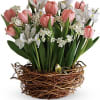 As if a beautiful spring bouquet arranged in a nest-like woven basket