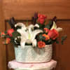 A stunning arrangement of lilies and colorful roses, mixed with an assortment