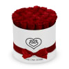 The &quot;runway round collection&quot; consists of unique, real preserved roses in classic