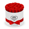 The &quot;runway round collection&quot; consists of unique, real preserved roses in classic