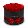 The &ldquo;Runway Round Collection&rdquo;.
consists of unique, real preserved roses in premium round