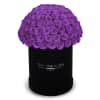 The One Roses &ldquo;Suede Collection&ldquo; consists of unique, real preserved roses in