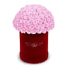 The One Roses &ldquo;SuedeCollection&ldquo; consists of unique, real preserved roses in premium