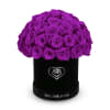 The One Roses &ldquo;Suede Collection&ldquo; consists of unique, real preserved roses in