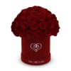 The One Roses &ldquo;Suede Collection&ldquo; consists of unique, real preserved roses in