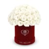 The One Roses &ldquo;Suede Collection&ldquo; consists of unique, real preserved roses in