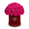 The One Roses &ldquo;Suede Collection&ldquo; consists of unique, real preserved roses in