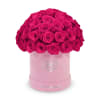 The One Roses &ldquo;Suede Collection&ldquo; consists of unique, real preserved roses in
