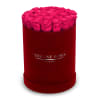 The One Roses &ldquo;Suede Collection&ldquo; consists of unique, real preserved roses in