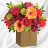 Talk about a bright idea! This cheerful arrangement of pink roses and