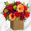 Talk about a bright idea! This cheerful arrangement of pink roses and