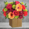 Talk about a bright idea! This cheerful arrangement of pink roses and