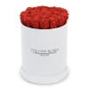The One Roses &ldquo;Suede Collection&ldquo; consists of unique, real preserved roses in