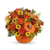 Includes a lush mix of orange roses, orange alstroemeria, burgundy cushion chrysanthemums