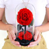 The Enchanted Rose is the perfect way to celebrate a birthday, anniversary
