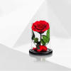 The Enchanted Rose is the perfect way to celebrate a birthday, anniversary