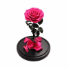 The Enchanted Rose is the perfect way to celebrate a birthday, anniversary
