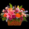 Like an island sunrise, this basket of orange and pink blooms is