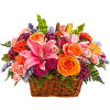 Like an island sunrise, this basket of orange and pink blooms is