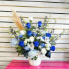 Rose glory premium in blue and white 