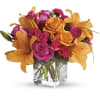 Tres chic! Send that special someone a stylish sentiment with the bright