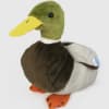 Dakota the duck is an aquatic creature that can be found on