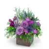 This jewel of an arrangement will make anyone&rsquo;s holiday bright! Holiday Amethyst