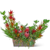 Our Wild Protea Crescent design is a stunning flower arrangement that exudes