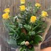 Bouquet of long stem (80CM) yellow roses.  Perfect for that special