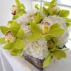 White Hydrangea&#039;s accompanied by green Cymbidium Orchid flowers in a low lying