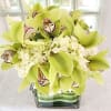 White Hydrangea&#039;s accompanied by green Cymbidium Orchid flowers in a low lying